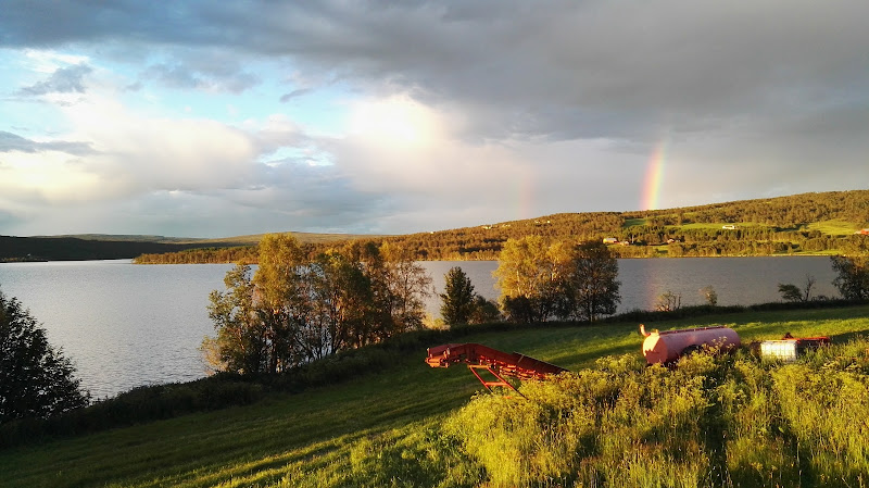 Bilde fra RUNE MORTENSEN i Glåmos